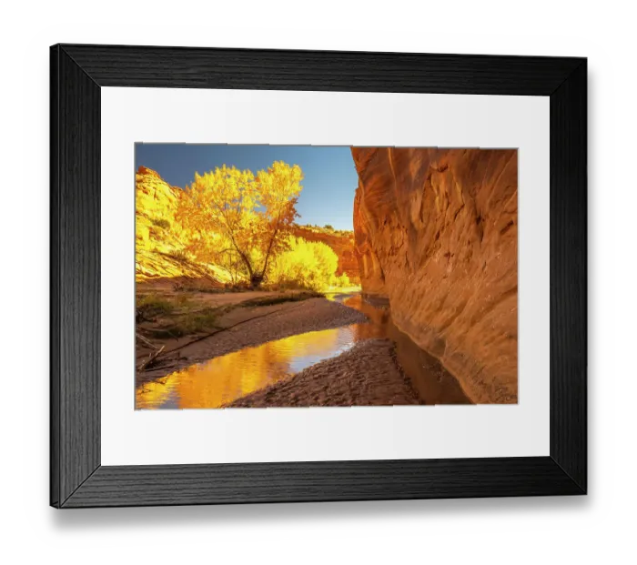 Framed Print : USA, Utah, Grand Staircase Escalante National Monument. Harris Wash and cottonwood trees in fall