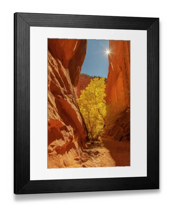 Framed Print : USA, Utah, Grand Staircase Escalante National Monument. Burr Trail and tree in Escalante River Basin