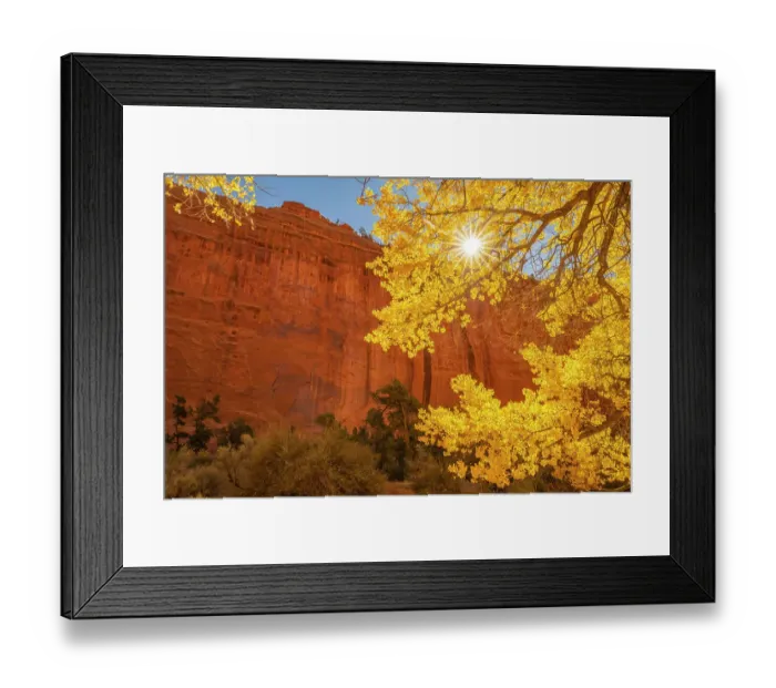 Framed Print : USA, Utah, Grand Staircase Escalante National Monument. Rock formations. and cottonwood trees Framed Print : USA, Utah, Grand Staircase Escalante National Monument. Rock formations. and cottonwood trees