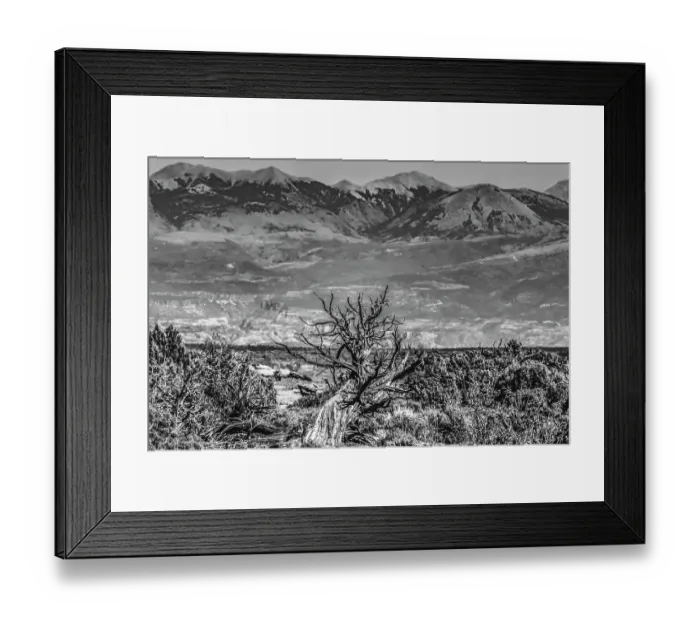 Framed Print : Black and white old wood branch, Abajo Mountains, Canyonlands National Park, Moab, Utah Framed Print : Black and white old wood branch, Abajo Mountains, Canyonlands National Park, Moab, Utah
