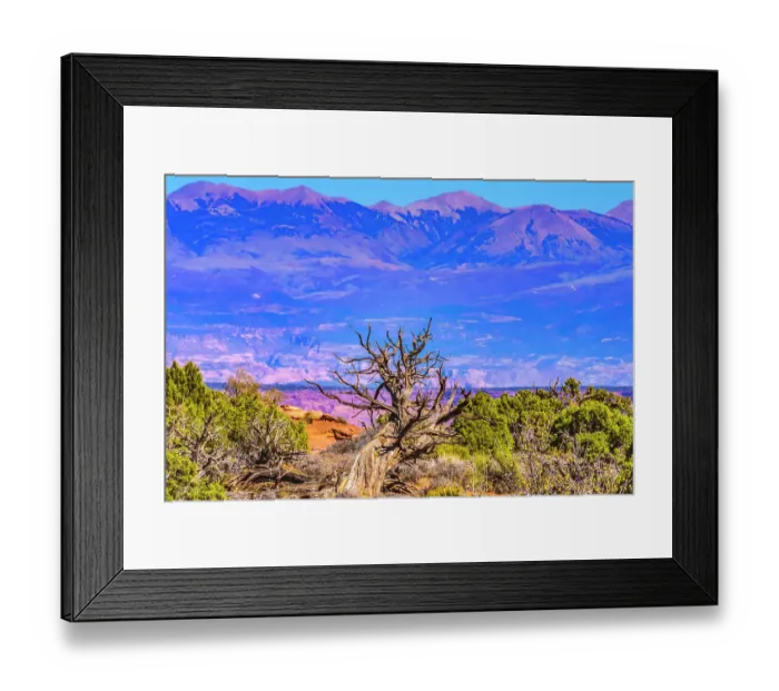 Framed Print : Old wood branch, Abajo Mountains, Canyonlands National Park, Moab, Utah Framed Print : Old wood branch, Abajo Mountains, Canyonlands National Park, Moab, Utah