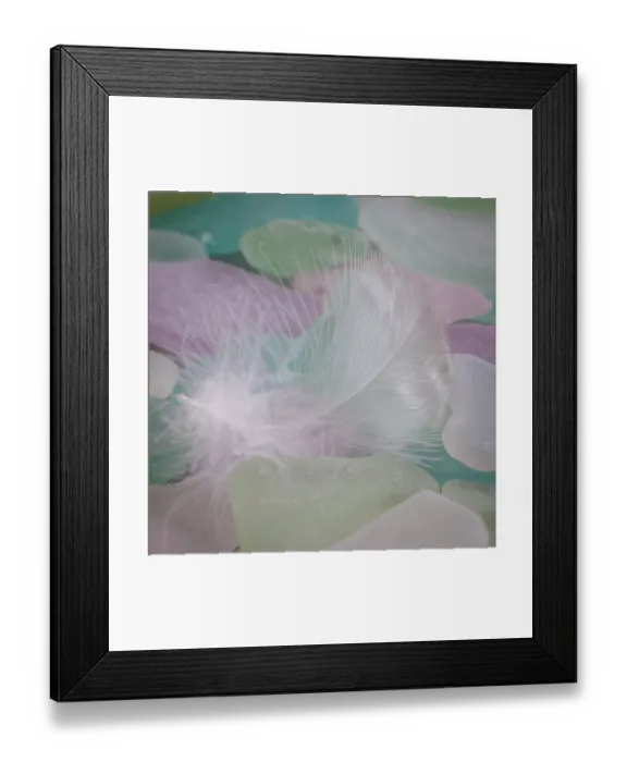 Framed Print : USA, Washington State, Seabeck. Feather and beach glass close-up