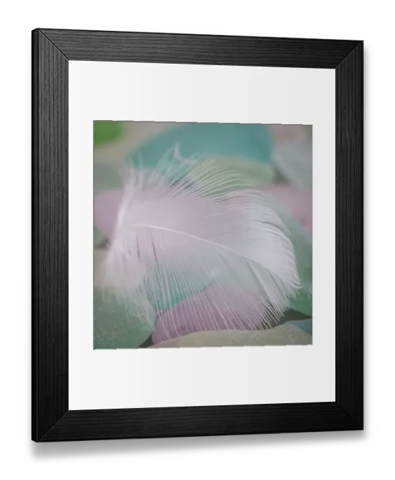 Framed Print : USA, Washington State, Seabeck. Feather and beach glass close-up Framed Print : USA, Washington State, Seabeck. Feather and beach glass close-up