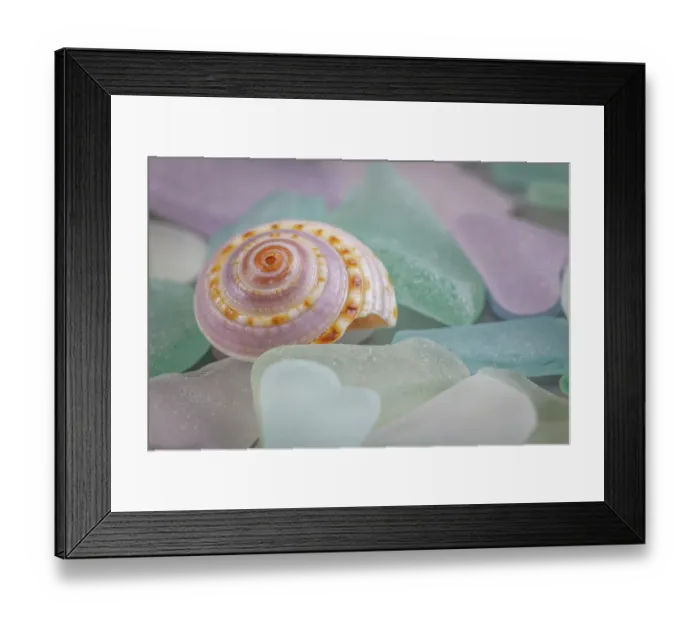 Framed Print : USA, Washington State, Seabeck. Seashell and beach glass Framed Print : USA, Washington State, Seabeck. Seashell and beach glass