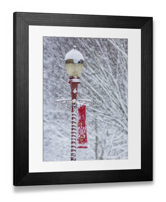 Framed Print : USA, Washington State, Issaquah with fresh fallen snow and red lamppost with Christmas decorations Framed Print : USA, Washington State, Issaquah with fresh fallen snow and red lamppost with Christmas decorations