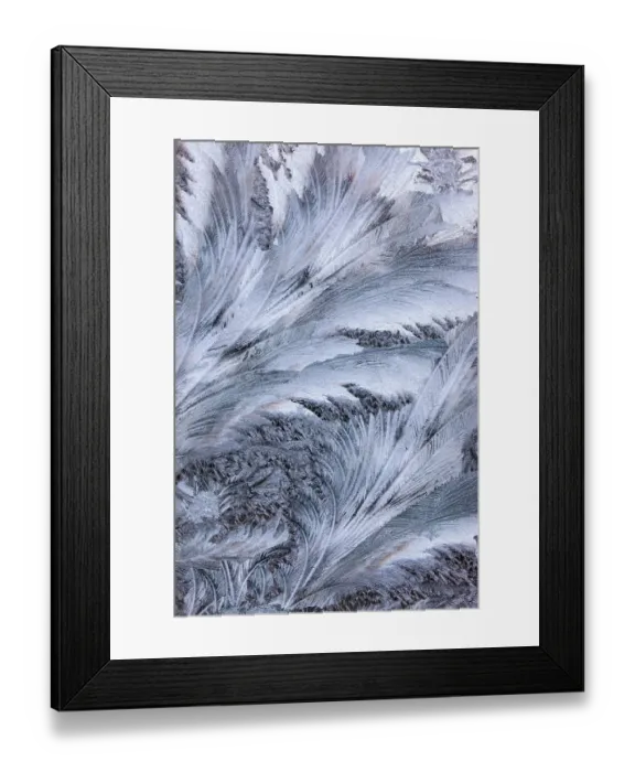 Framed Print : USA, Washington State, Sammamish. Frost on auto window Framed Print : USA, Washington State, Sammamish. Frost on auto window