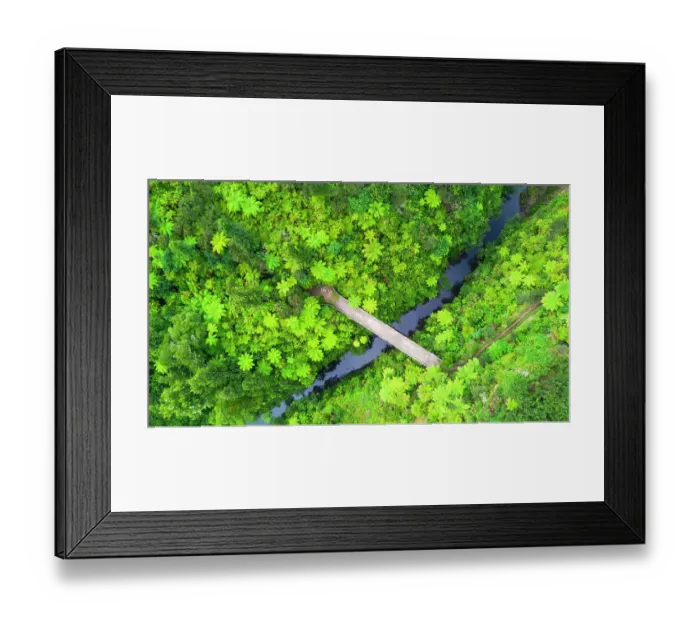 Framed Print : Retaruke, New Zealand. The Bridge to nowhere is a unique remote destination Framed Print : Retaruke, New Zealand. The Bridge to nowhere is a unique remote destination