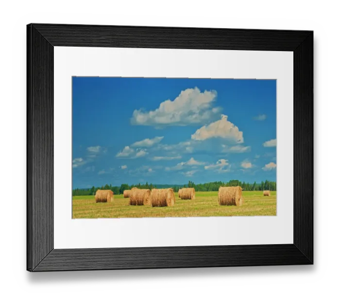 Framed Print : Canada, Ontario, New Liskeard. Hay bales in farm field Framed Print : Canada, Ontario, New Liskeard. Hay bales in farm field