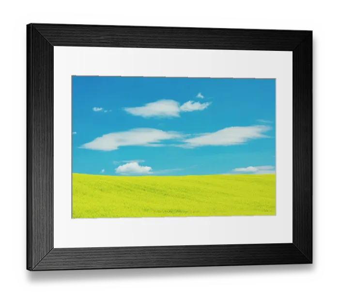 Framed Print : Canada, Quebec, Duhamel. Yellow canola crop