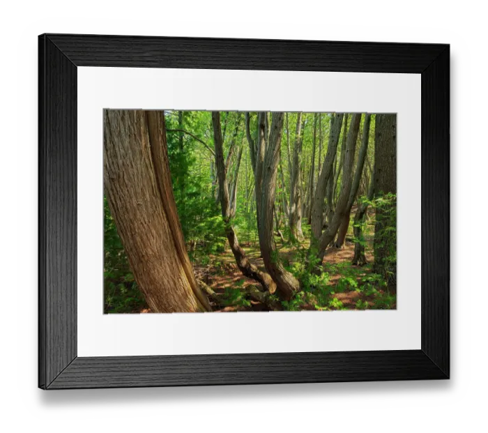 Framed Print : Canada, Quebec, Ville-Marie, Coaticook Gorge Park. Part of The Enchanted Forest