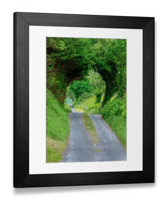 Framed Print : Green Trees wrap this back road in lush foliage, County Mayo, Ireland Framed Print : Green Trees wrap this back road in lush foliage, County Mayo, Ireland