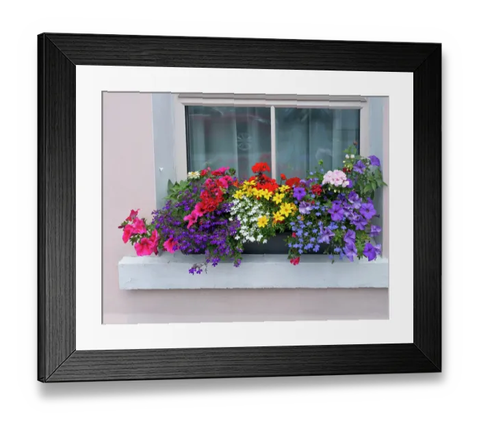 Framed Print : Window greets visitors in the village of Cong, Connacht County, Ireland Framed Print : Window greets visitors in the village of Cong, Connacht County, Ireland