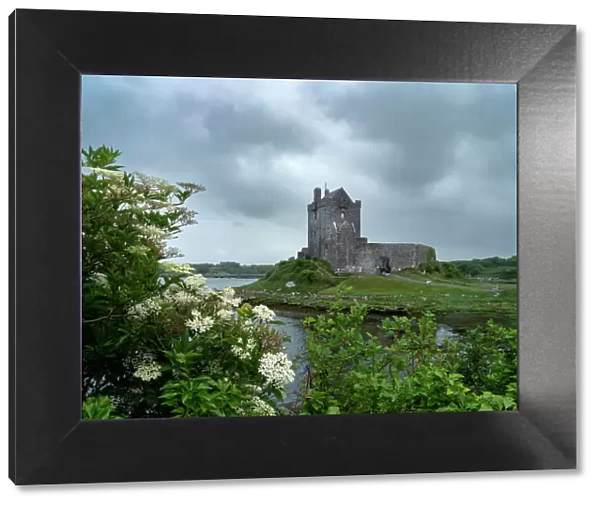 Dunguaire Castle, a famous landmark, is located on Galway Bay, Ireland