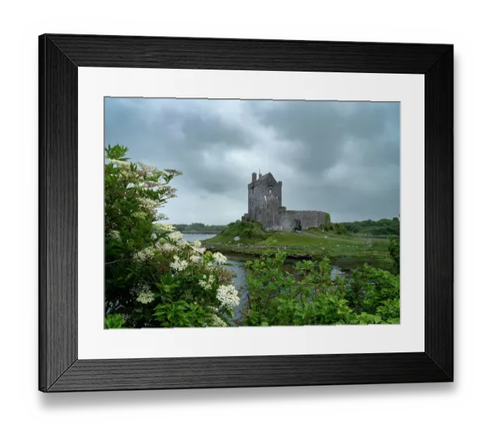 Framed Print : Dunguaire Castle, a famous landmark, is located on Galway Bay, Ireland Framed Print : Dunguaire Castle, a famous landmark, is located on Galway Bay, Ireland
