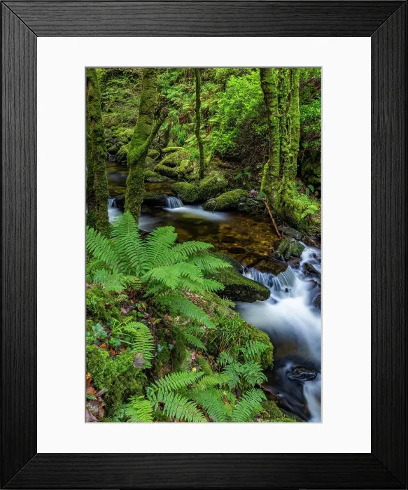 Framed Print : Torq Creek in Killarney National Park Framed Print : Torq Creek in Killarney National Park
