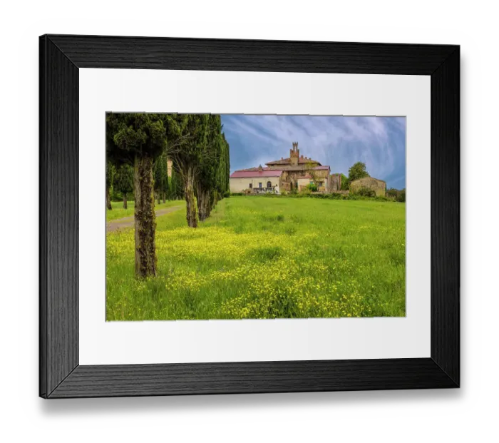 Framed Print : Farmhouse with access road lined by Cypress tree row. Yellow mustard field. Montalcino. Tuscany, Italy. (Editorial Use Only)