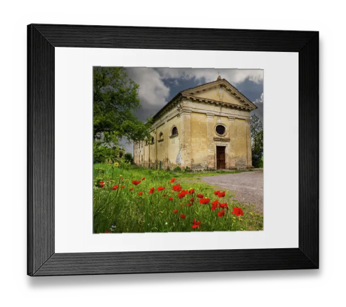Framed Print : Ancient church ruin surrounded by bright reed poppies. Montalcino. Tuscany, Italy Framed Print : Ancient church ruin surrounded by bright reed poppies. Montalcino. Tuscany, Italy