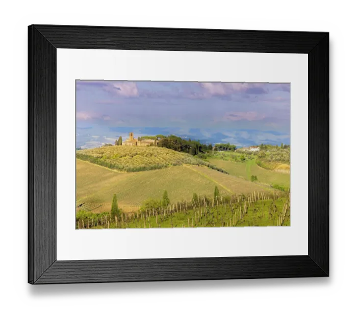 Framed Print : Tuscan landscape with vineyards and olive groves. Tuscany, Italy Framed Print : Tuscan landscape with vineyards and olive groves. Tuscany, Italy
