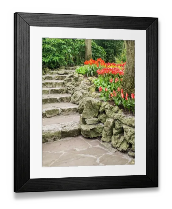 Framed Print : Netherlands, Lisse. Flower displays at Keukenhof Gardens Framed Print : Netherlands, Lisse. Flower displays at Keukenhof Gardens