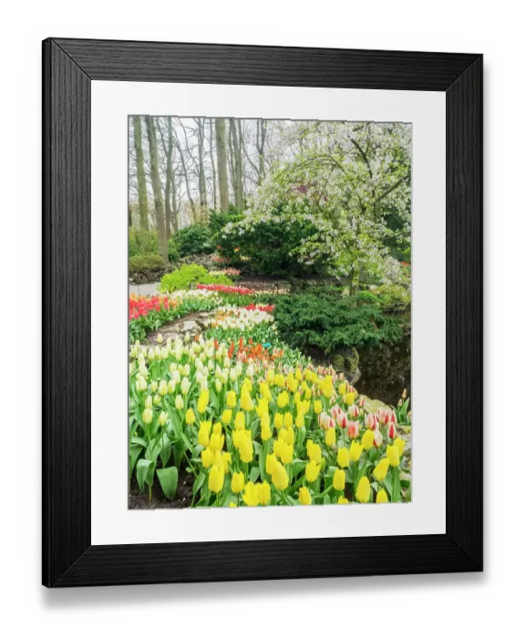 Framed Print : Netherlands, Lisse. Flower displays at Keukenhof Gardens Framed Print : Netherlands, Lisse. Flower displays at Keukenhof Gardens