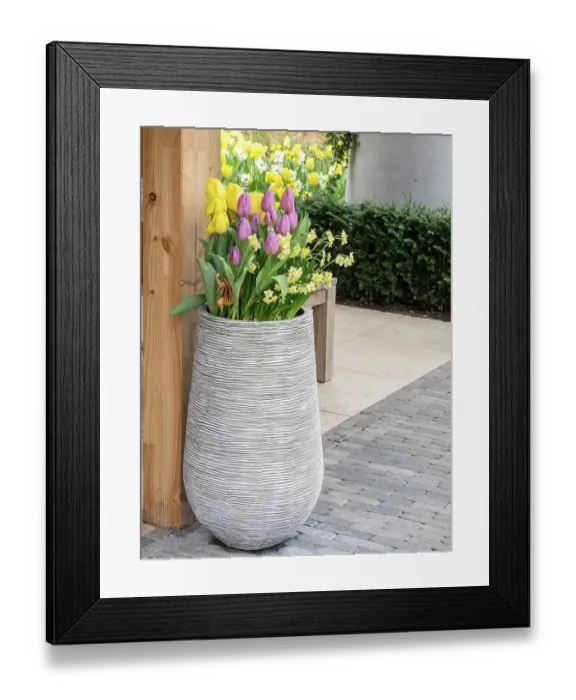 Framed Print : Netherlands, Lisse. Tall flower pot with yellow tulips and narcissus Framed Print : Netherlands, Lisse. Tall flower pot with yellow tulips and narcissus