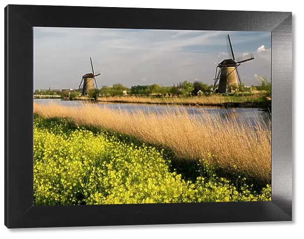 Netherland, Kinderdijk. Windmills along the canal
