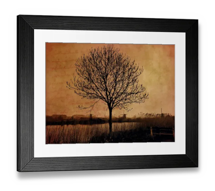 Framed Print : Netherlands, Kinderdijk. Tree along canal at Kinderdijk