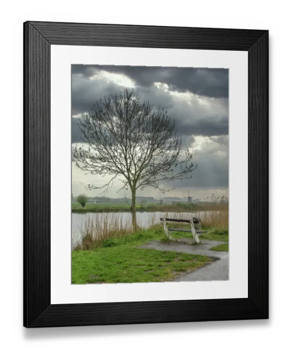 Framed Print : Netherlands, Kinderdijk. Tree along canal at Kinderdijk Framed Print : Netherlands, Kinderdijk. Tree along canal at Kinderdijk