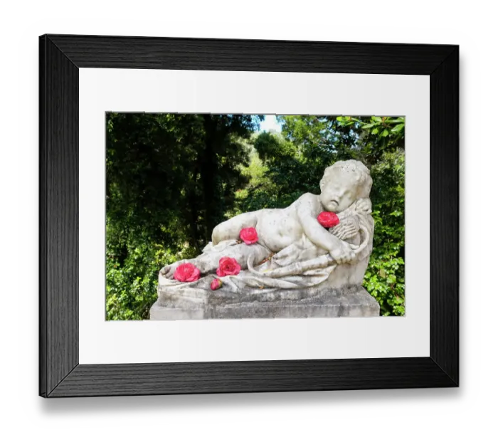 Framed Print : Sintra, Portugal. Monserrate Palace