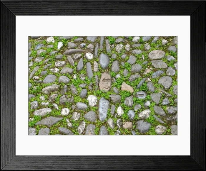 Framed Print : Granada, Spain. Ancient stone walkway with moss