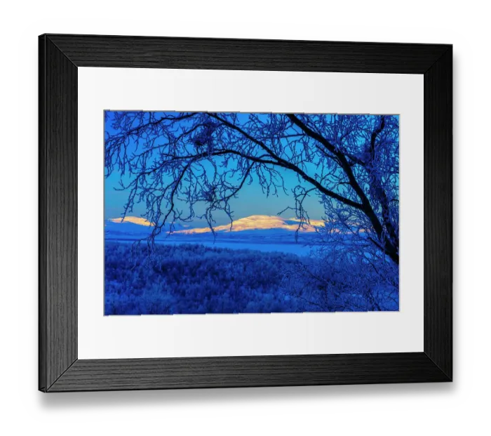 Framed Print : Sweden, Norrbotten, Abisko. Winter light over frosted birch forest and Torne Lake Framed Print : Sweden, Norrbotten, Abisko. Winter light over frosted birch forest and Torne Lake