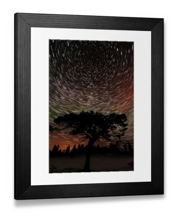 Framed Print : Sweden, Norrbotten, Abisko. Winter night with star circles and a hint of Northern Light above a Baltic Pine Framed Print : Sweden, Norrbotten, Abisko. Winter night with star circles and a hint of Northern Light above a Baltic Pine