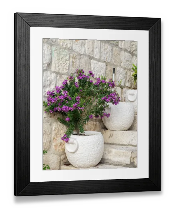Framed Print : Croatia, Hvar. Potted purple plants in pots on steps Framed Print : Croatia, Hvar. Potted purple plants in pots on steps