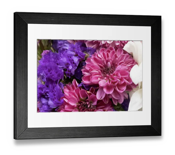 Framed Print : Close-up magenta violet