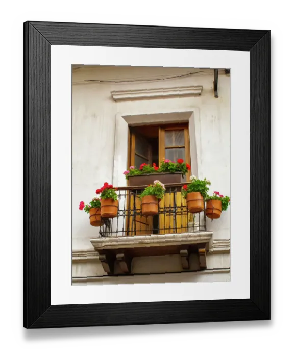 Framed Print : Ecuador, Quito. La Ronda neighborhood scenic of flower pots in window