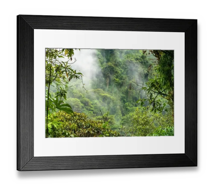 Framed Print : Ecuador, Guango. Cloud in jungle landscape