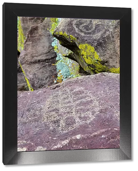Mexico, Baja California Sur, Sierra de San Francisco. Petroglyphs at the remote spring, La Higuerita