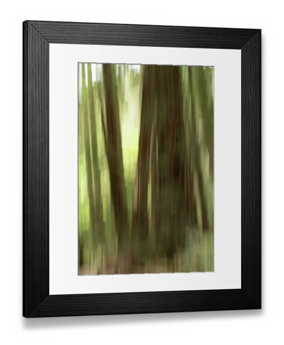 Framed Print : Abstract trees