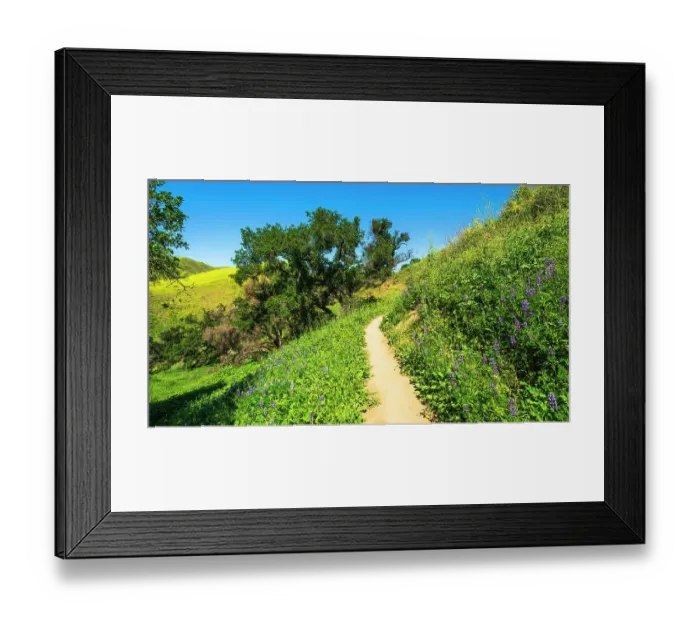 Framed Print : Hiker and lupine in Harmon Canyon Preserve, Ventura, California, USA (MR) Framed Print : Hiker and lupine in Harmon Canyon Preserve, Ventura, California, USA (MR)