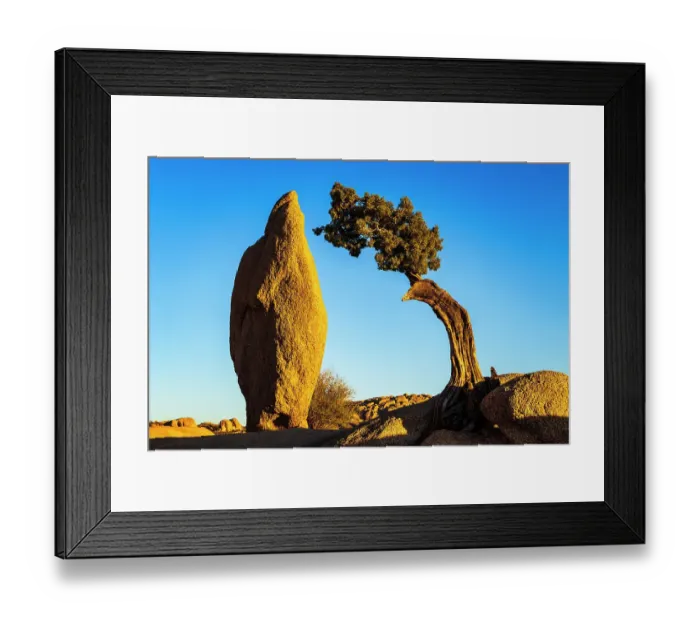 Framed Print : Balanced rock and juniper, Joshua Tree National Park, California, USA Framed Print : Balanced rock and juniper, Joshua Tree National Park, California, USA