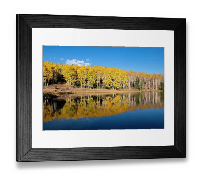 Framed Print : Diamond Pond reflects a stand of aspens, in Colorado, Walden, USA Framed Print : Diamond Pond reflects a stand of aspens, in Colorado, Walden, USA