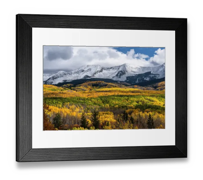 Framed Print : USA, Colorado. Light dappled Aspen forests, Kebler Pass, Gunnison National Forest Framed Print : USA, Colorado. Light dappled Aspen forests, Kebler Pass, Gunnison National Forest