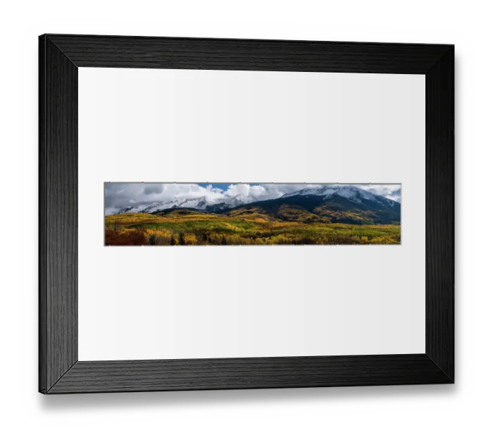 Framed Print : USA, Colorado. Light dappled Aspen forests, Kebler Pass, Gunnison National Forest Framed Print : USA, Colorado. Light dappled Aspen forests, Kebler Pass, Gunnison National Forest