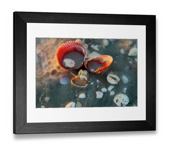 Framed Print : Incoming surf and seashells on Sanibel Island, Florida, USA Framed Print : Incoming surf and seashells on Sanibel Island, Florida, USA