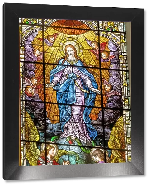 Assumption Virgin Mary stained glass Gesu Church, Miami, Florida. At death, Stained glass built 1920's. Glass by Franz Mayer