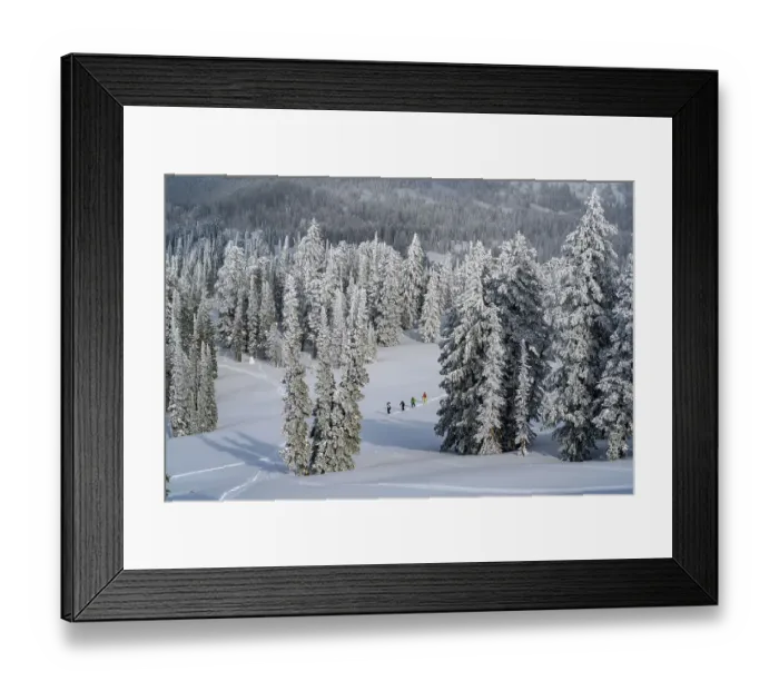 Framed Print : USA, Idaho. Four skiers climbing on trail near Bear Lake Framed Print : USA, Idaho. Four skiers climbing on trail near Bear Lake