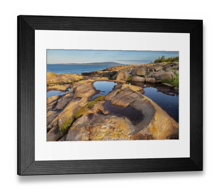 Framed Print : Puddles reflect in the pink granite at Schoodic Point in Acadia National Park, Maine, USA