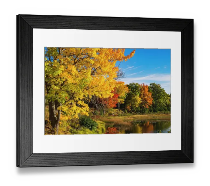Framed Print : Acadia National Park, Duck Pond Road Framed Print : Acadia National Park, Duck Pond Road