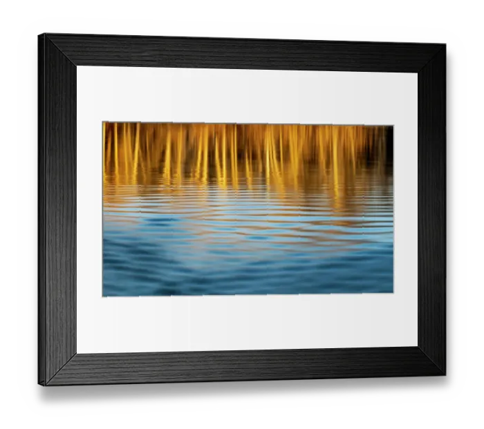 Framed Print : Last light of the day on the banks of the Flathead River in Kalispell, Montana, USA