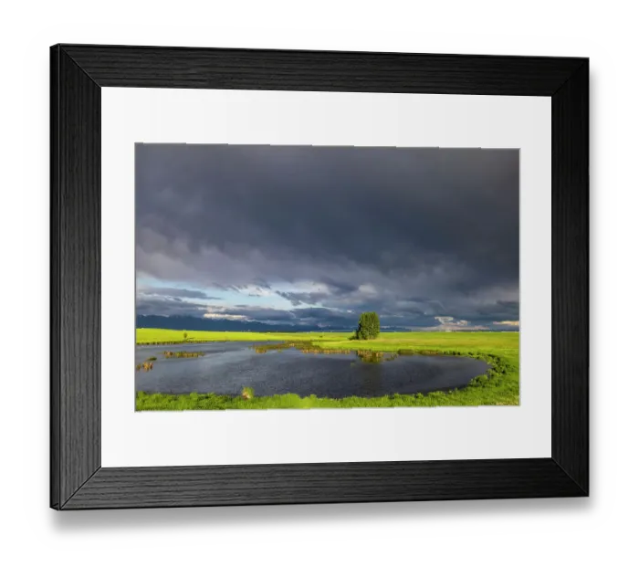 Framed Print : Stormy clouds over wetlands habitat in the Flathead Valley, Montana, USA Framed Print : Stormy clouds over wetlands habitat in the Flathead Valley, Montana, USA
